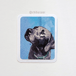 Sticker Labrador