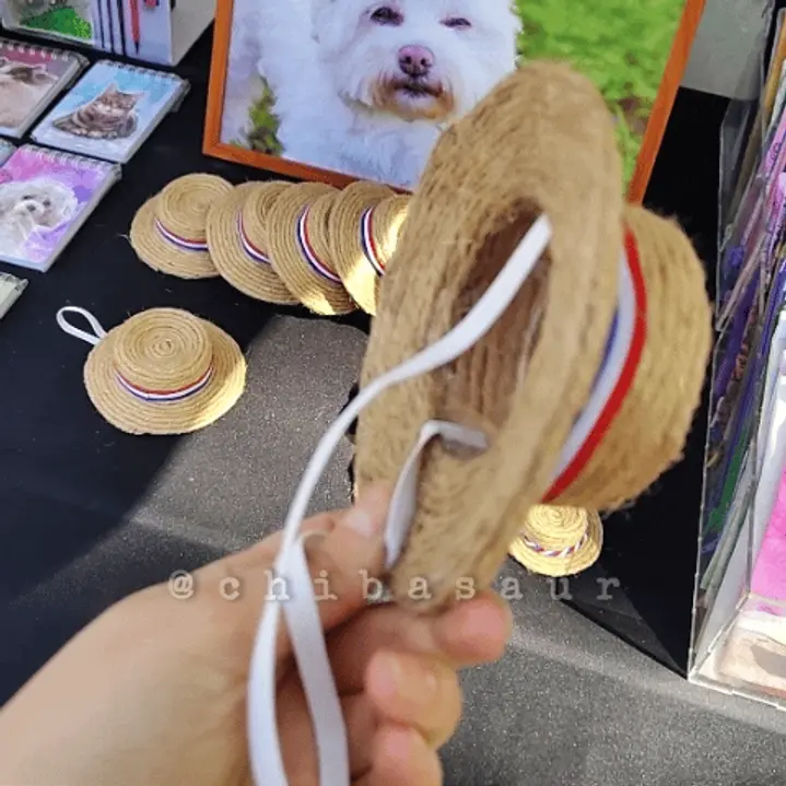 Chupalla dieciochera para mascota 4