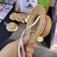 Chupalla dieciochera para mascota - thumbnail 4