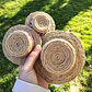 Chupalla dieciochera para mascota - thumbnail 5