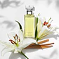 Calvin Klein Eternity For Women Edp 100ml Mujer - Miniatura 3