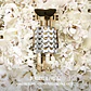 Paco Rabanne Fame  Edp Recargable 80ml Mujer - Miniatura 5
