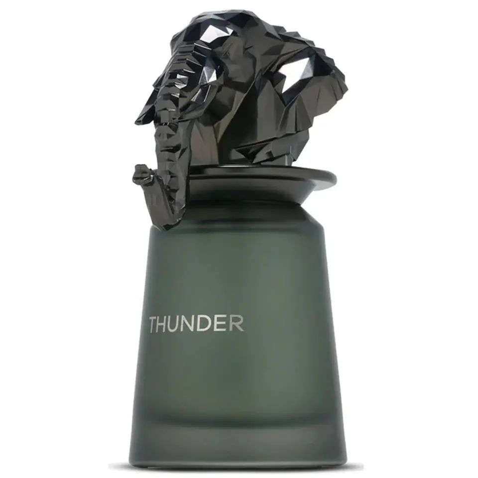 French Avenue Thunder Edp 100ml Hombre (Dupe Dior Homme Intense) 3
