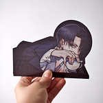 Levi 1