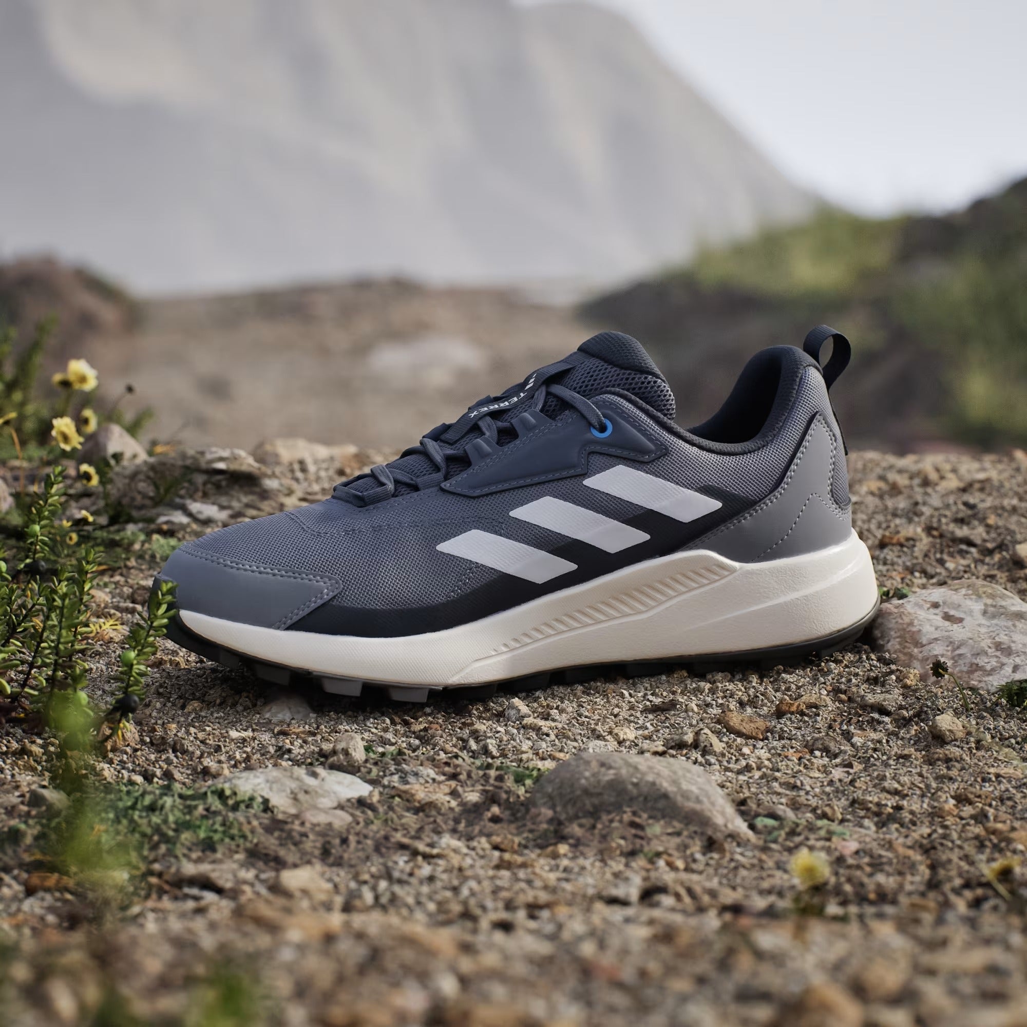 Zapatillas de Senderismo Terrex Anylander 5