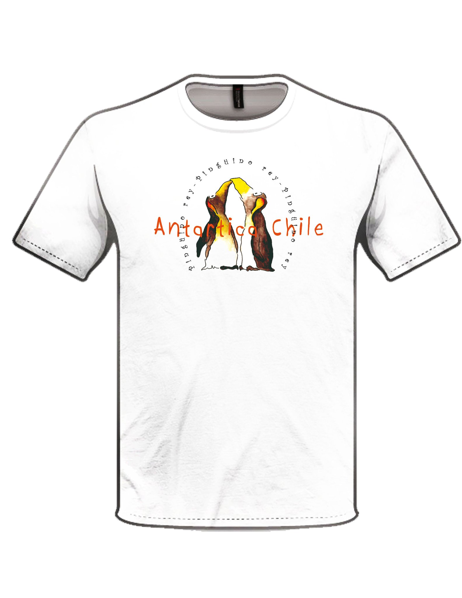 Polera pingüino Antártica