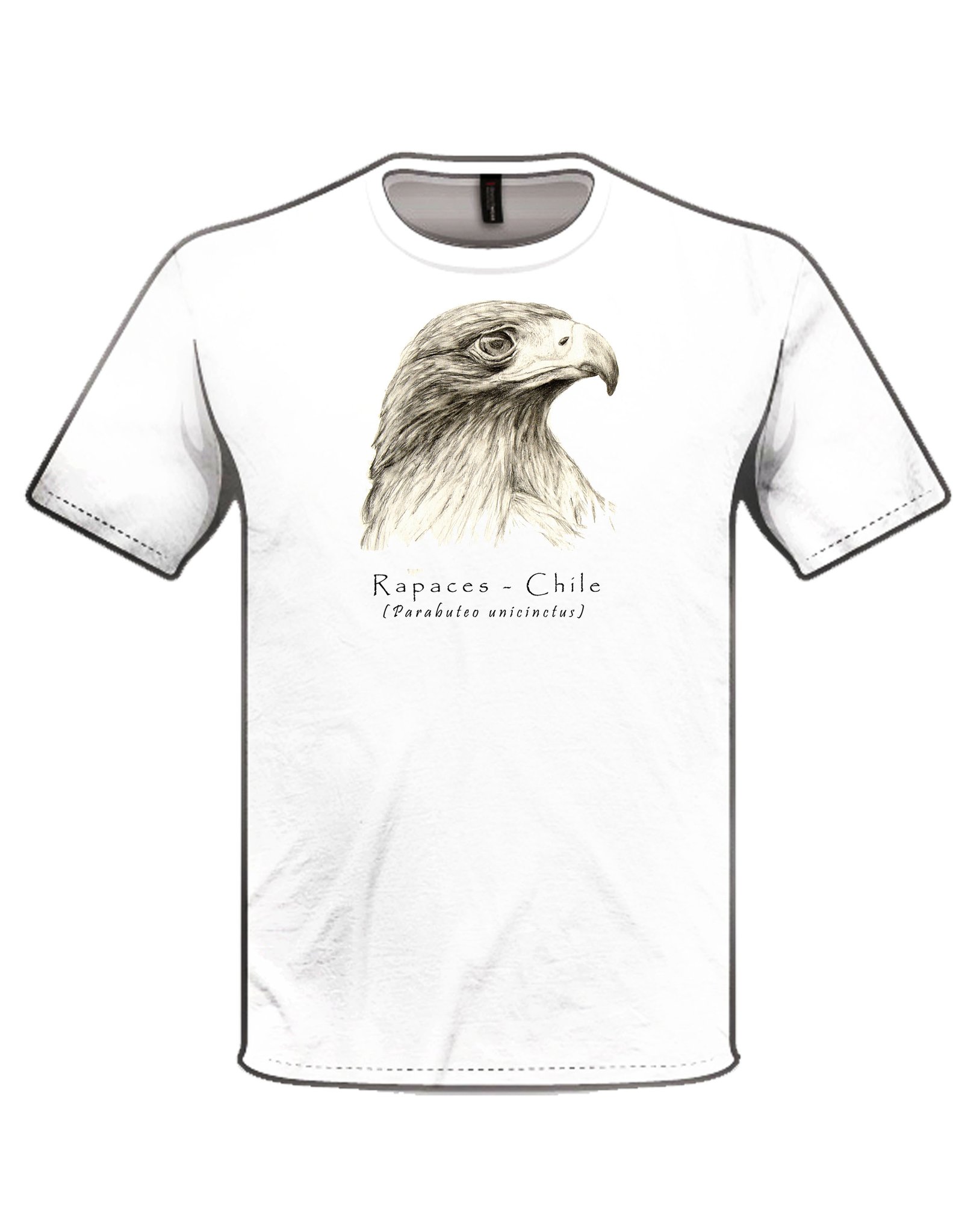 Polera clásica peuco