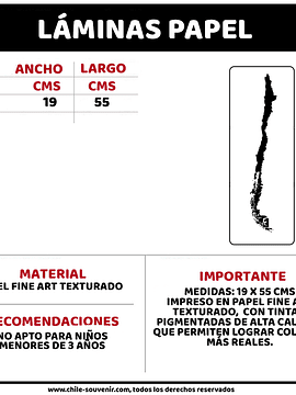 Lámina dinosaurios de Chile