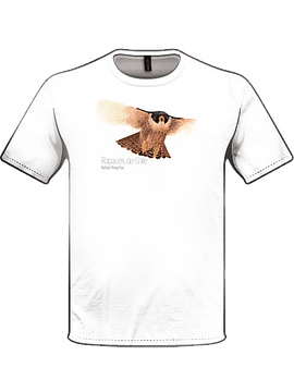 Polera halcón peregrino 2