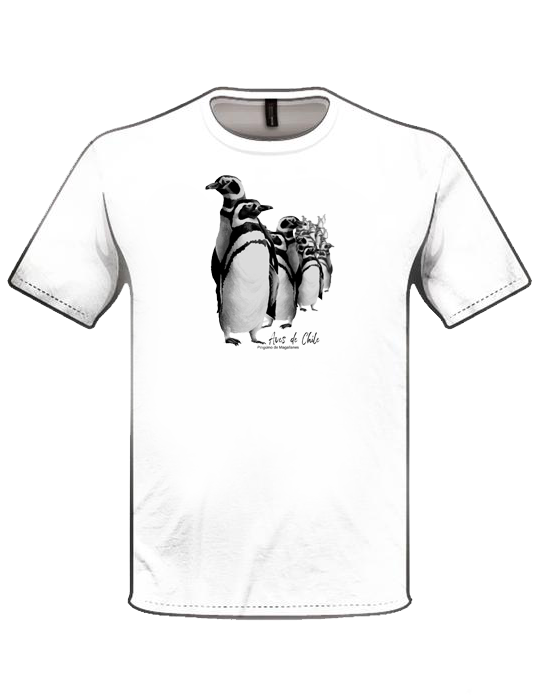 Polera pingüino de Magallanes 2