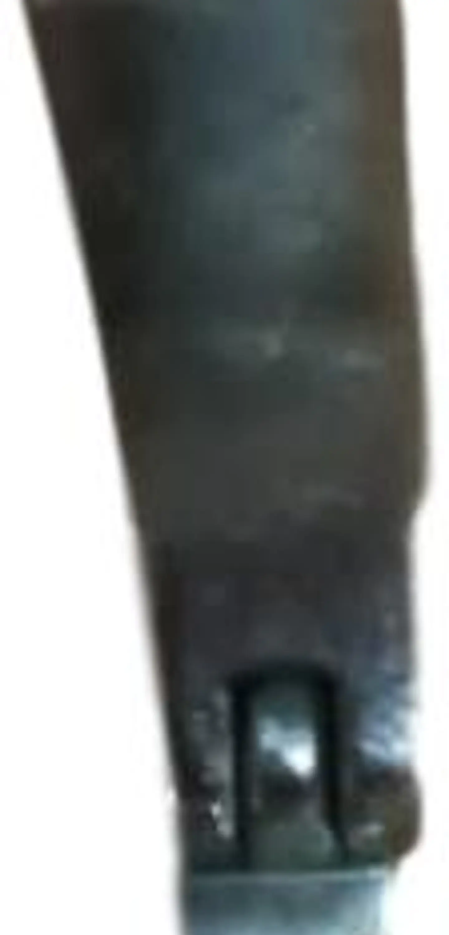 PIE DE VIVO IZQUIERDO P36LN 1