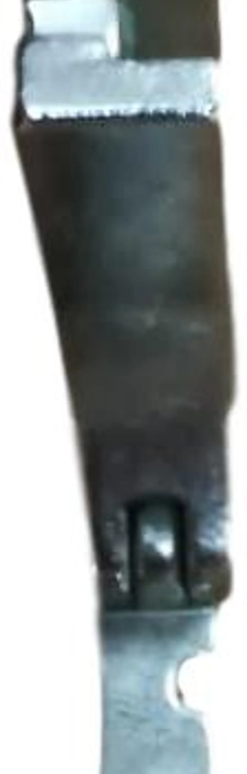 PIE DE VIVO IZQUIERDO P36LN 1