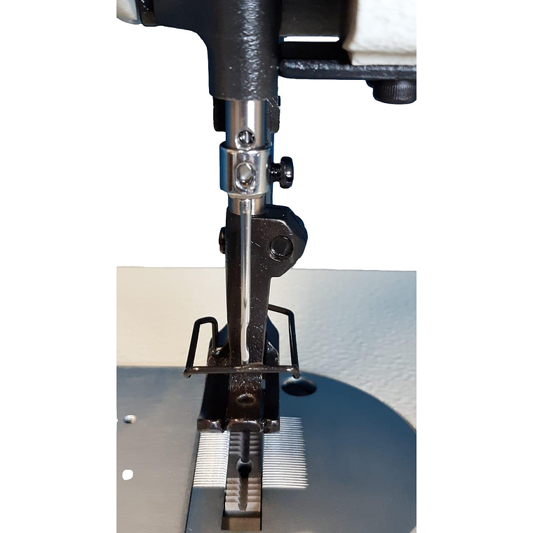 Máquina Triple Arrastre GC0605 RECTA TYPICAL MOD para Cuero, Lona, Carpa, Sofá 4