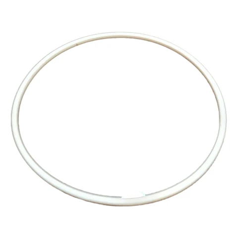 ORING DEL TESMOSTATO PLANCHA MOD SR-5800 