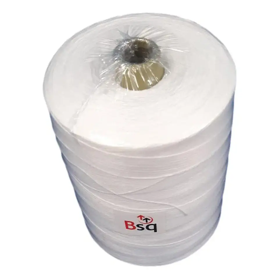 Cono 1KG Cerradora de Saco 20S/6 1