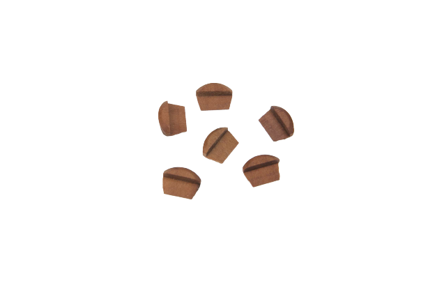 Lengüeta Flauta Choroi Pentatónica 1