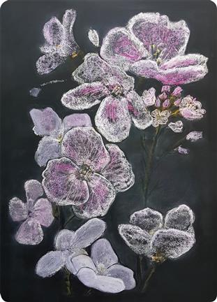 Postal - Flor de Cuco  1