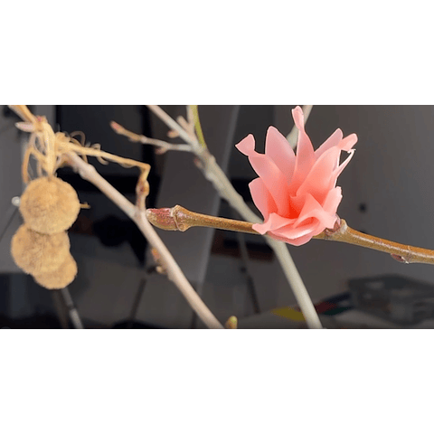 Cera Modelado Decorativa Pequeña 12 colores 