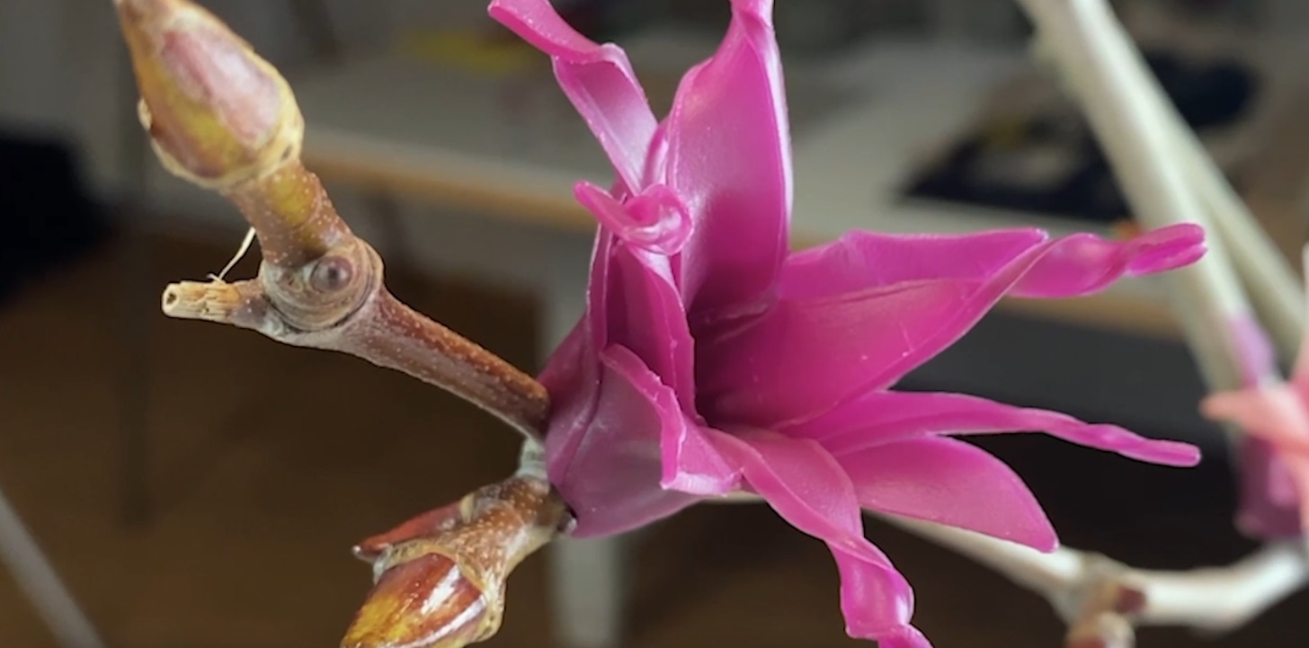 Cera Modelado Decorativa Pequeña 18 colores  4