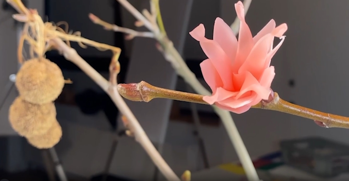 Cera Modelado Decorativa Pequeña 18 colores  5