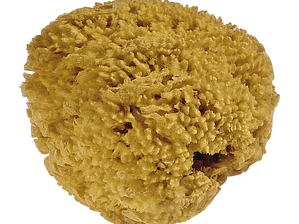 Esponja Natural Acuarela 