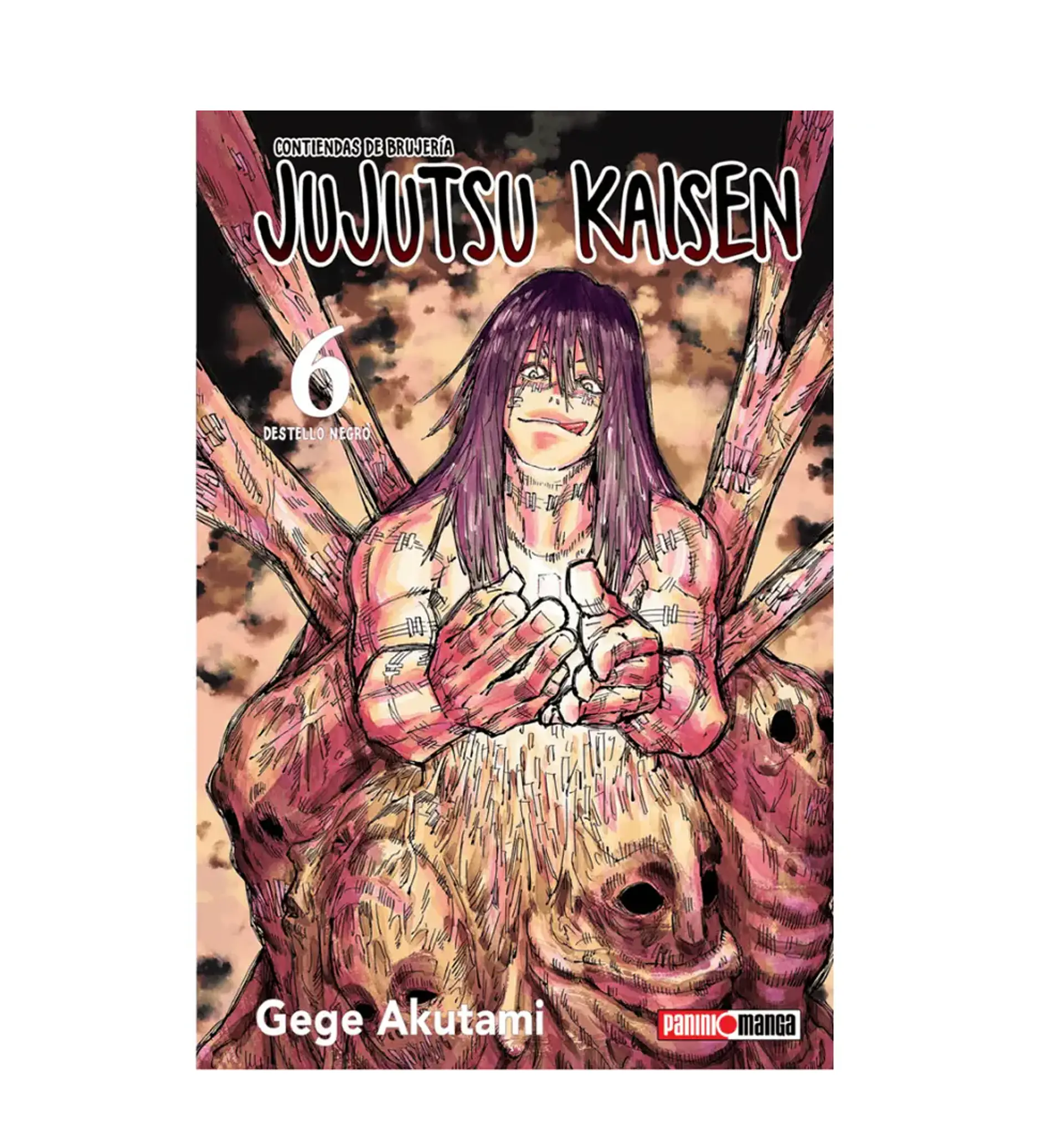 Jujutsu Kaisen N°06 1