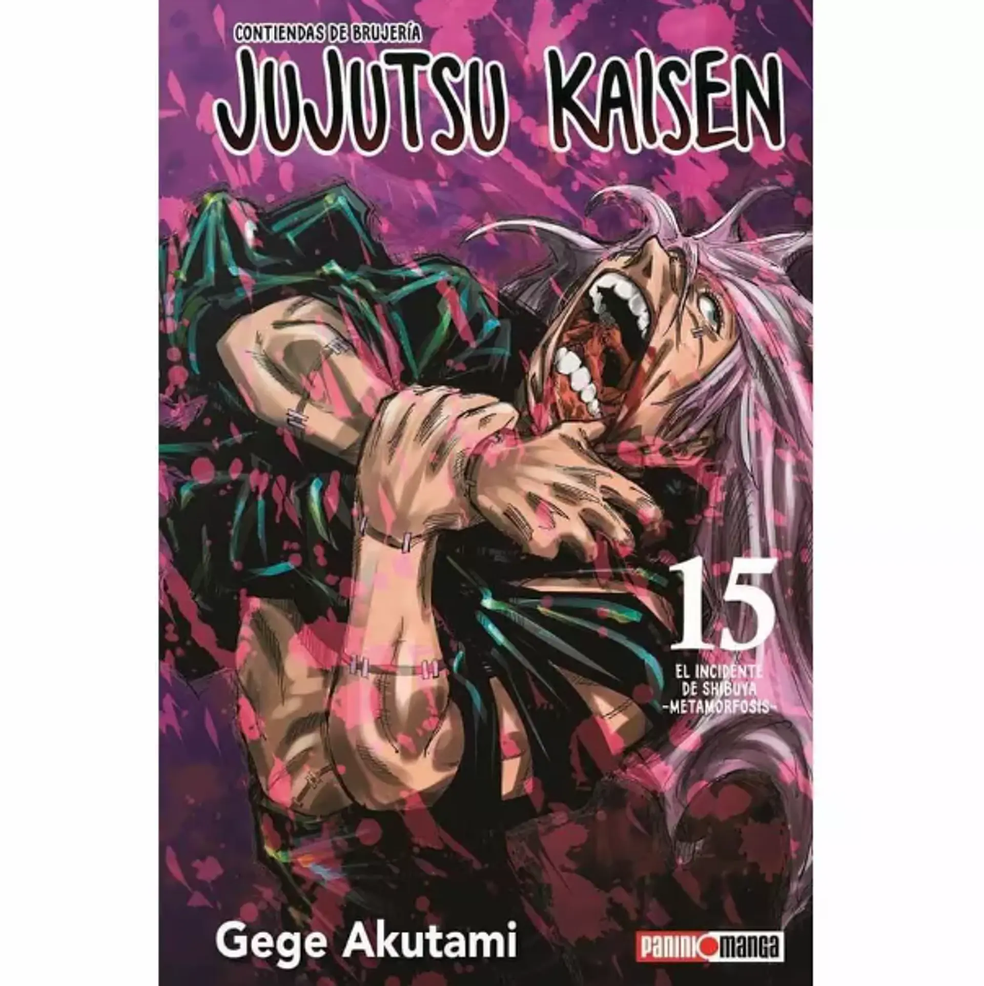 Jujutsu Kaisen N°15 1