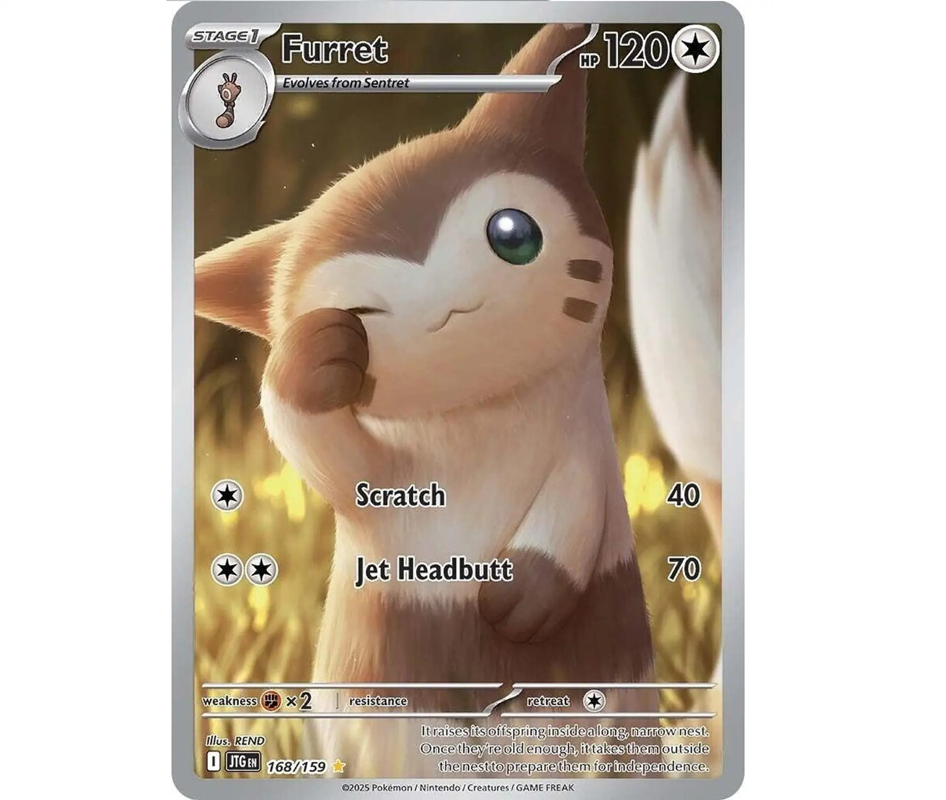 Furret #168 Español 1