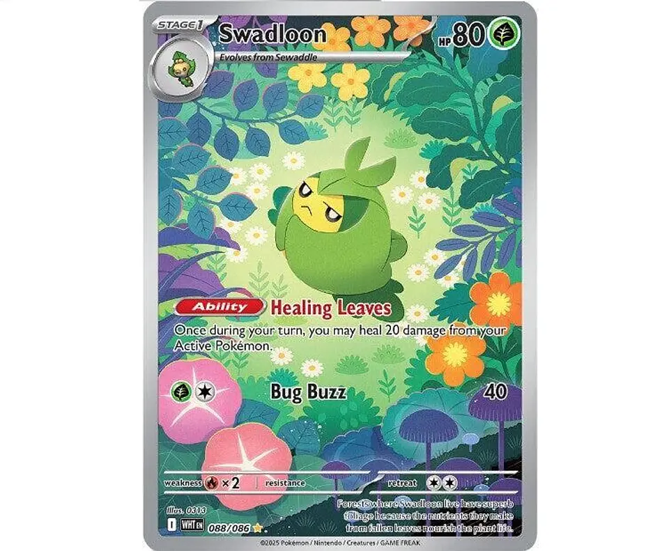 Swadloon #88 Ingles 1