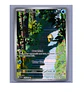 Psyduck #175 Ingles  - Miniatura 1