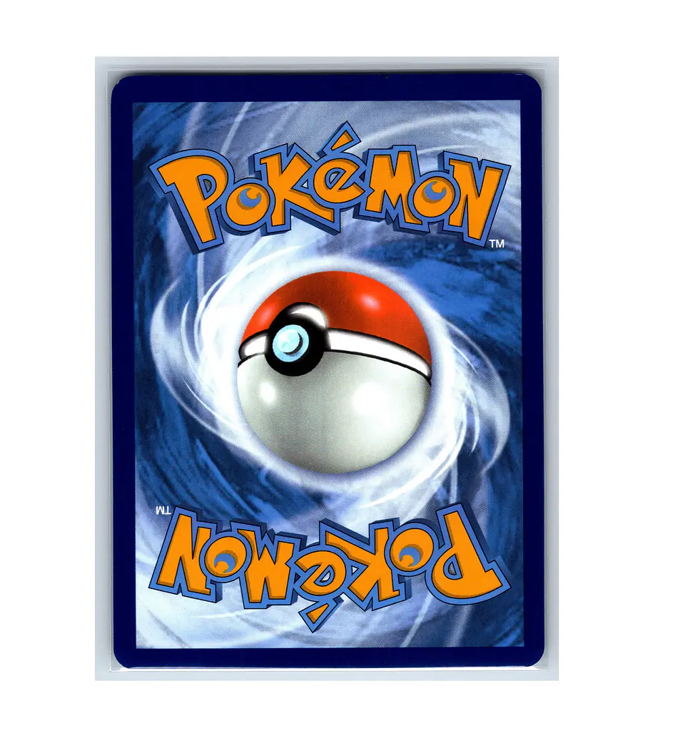 Cubchoo #109 ESPAÑOL 2