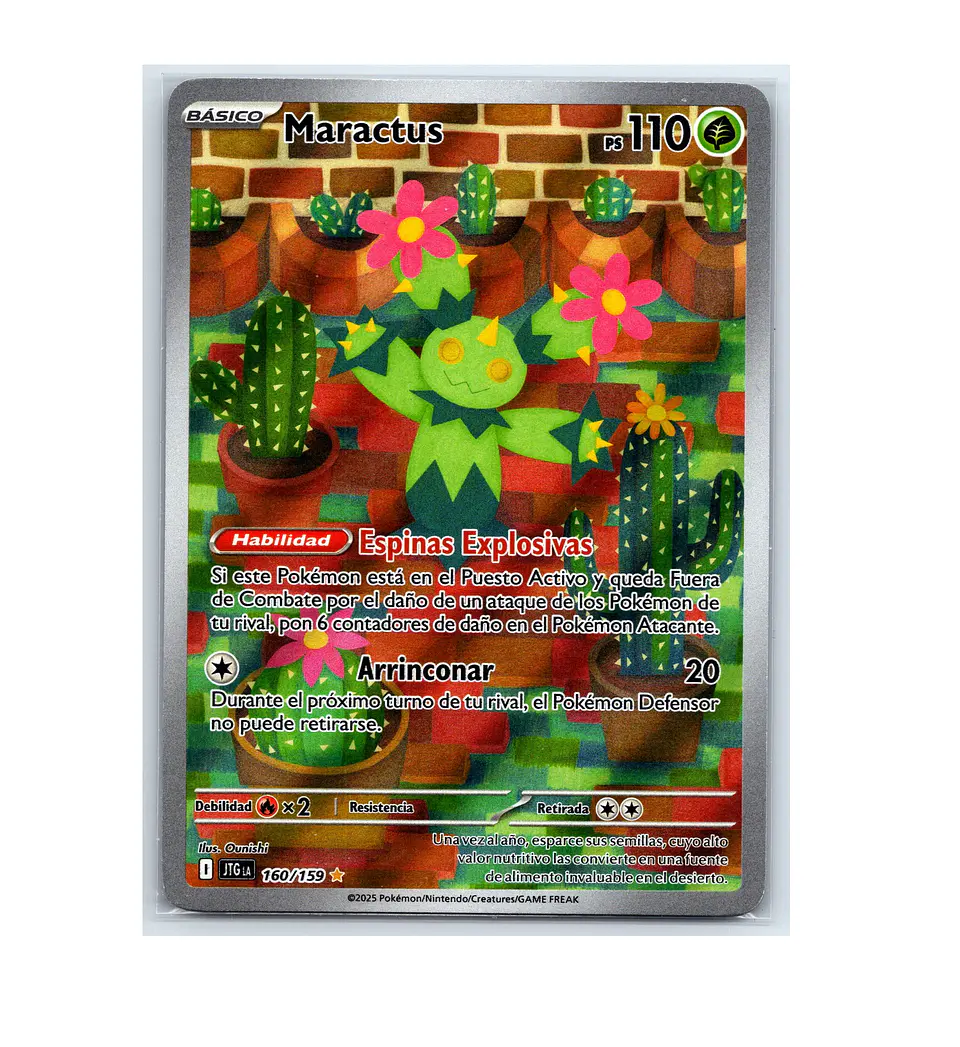 Maractus #160 1