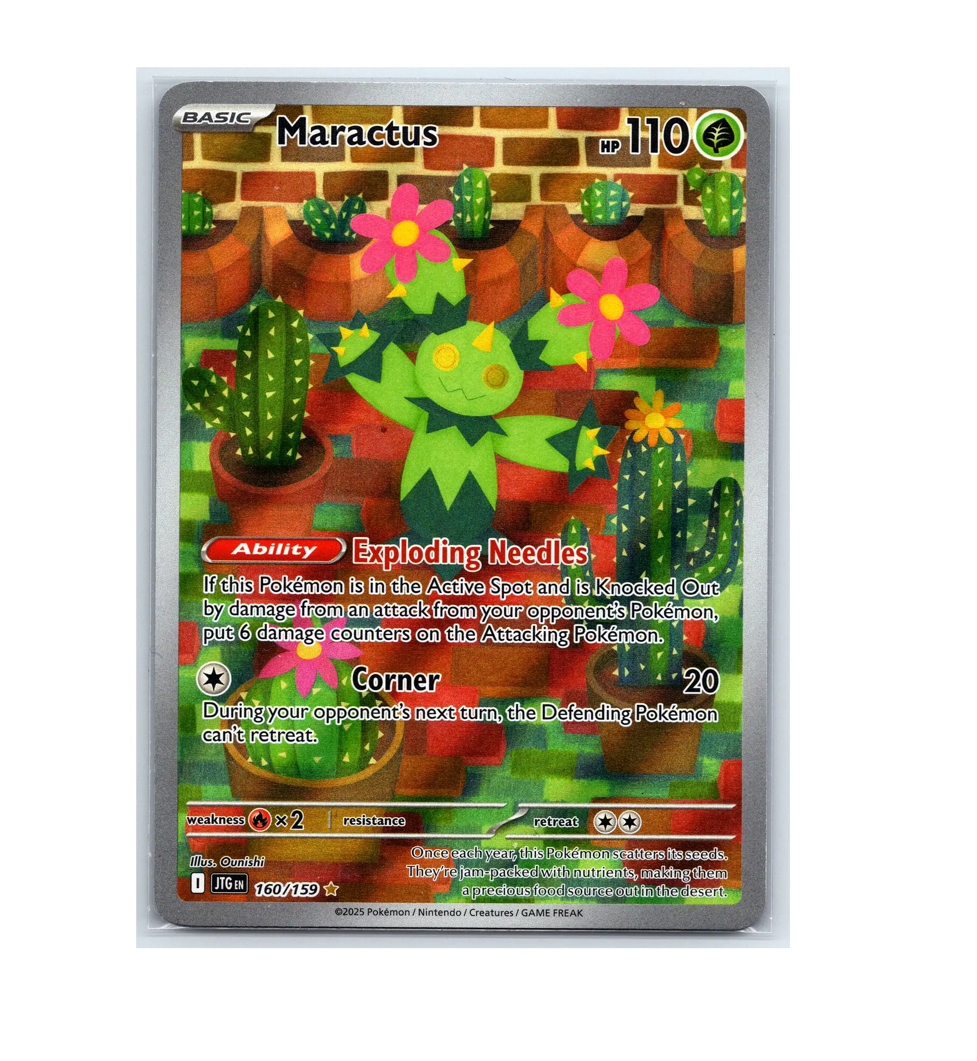 Maractus #160 2