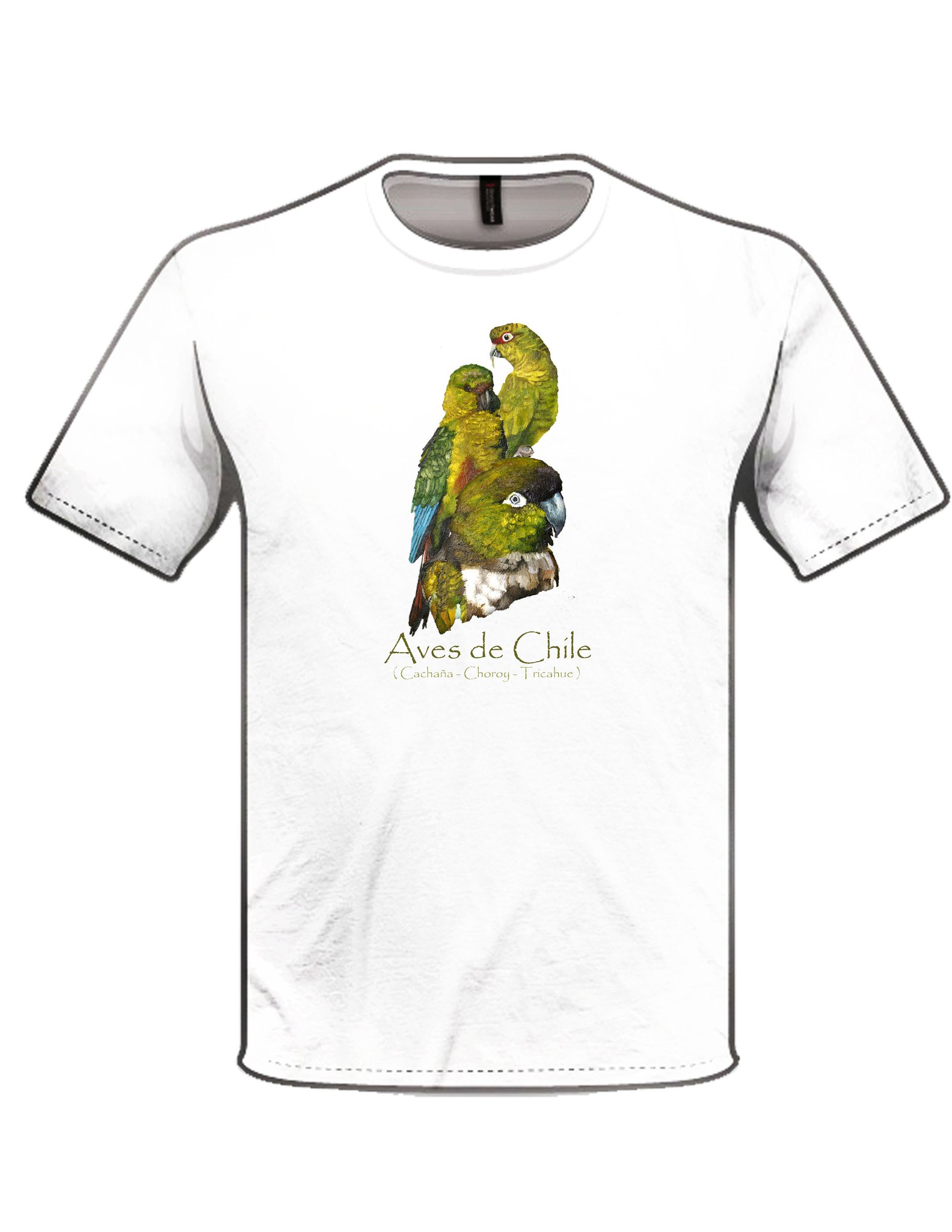 Polera loros