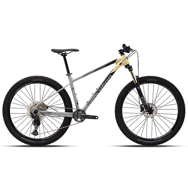 BICICLETA POLYGON XTRADA 6 1X11 2021 27,5