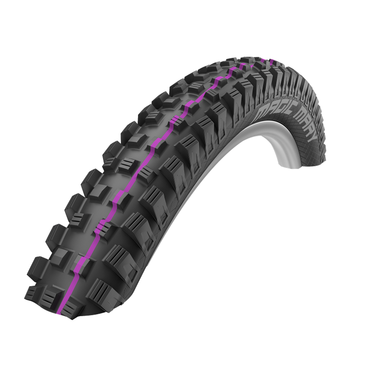 schwalbe 29 2.0