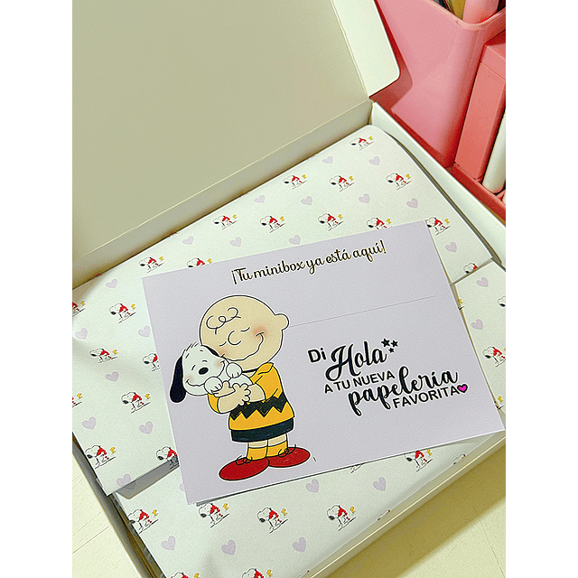 Minibox Snoopy