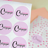 550 sticker circulares con logo personalizado