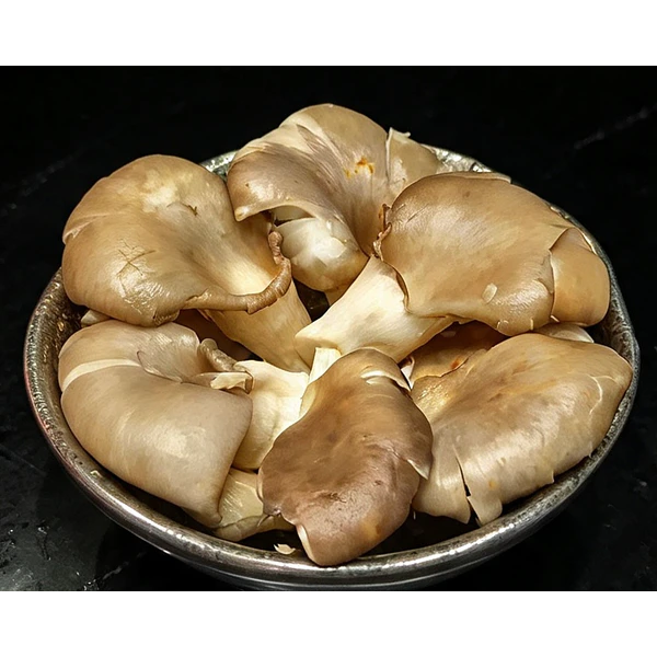 Hongs ostra 100g 