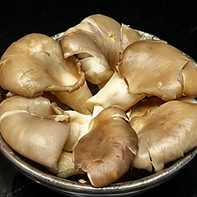 Hongs ostra 100g 