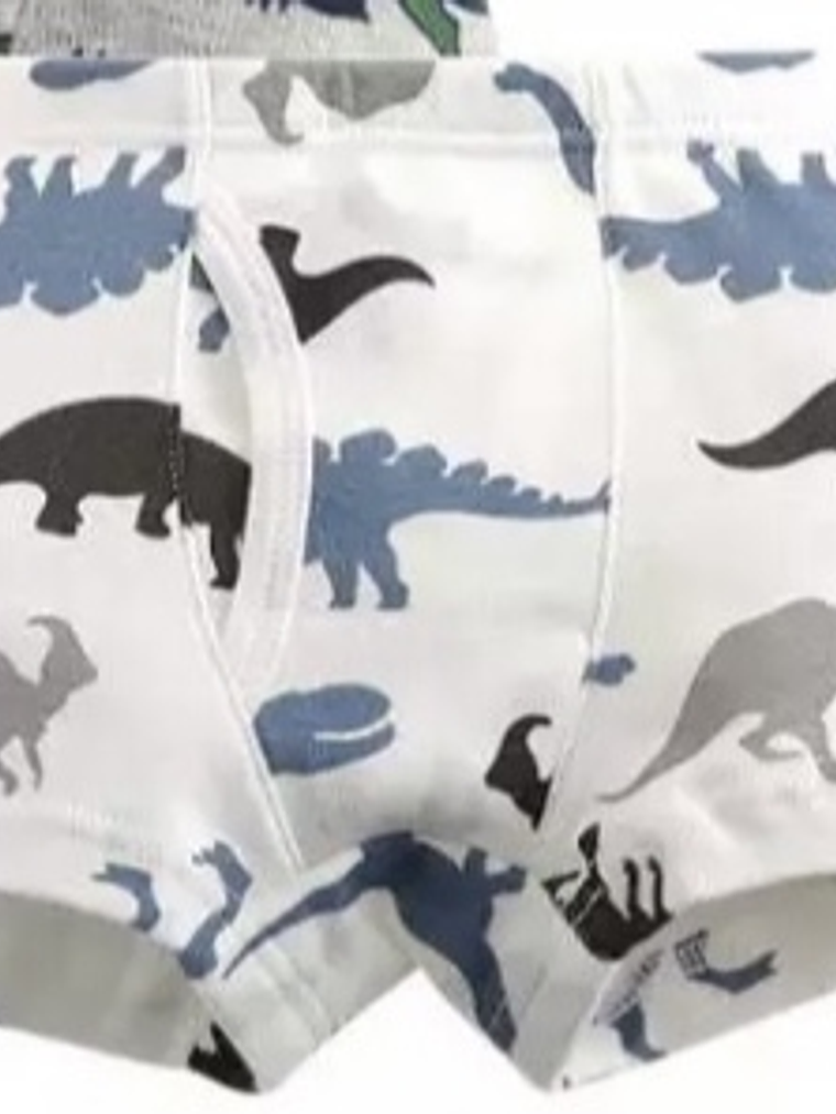Boxers Dinosaurios 2