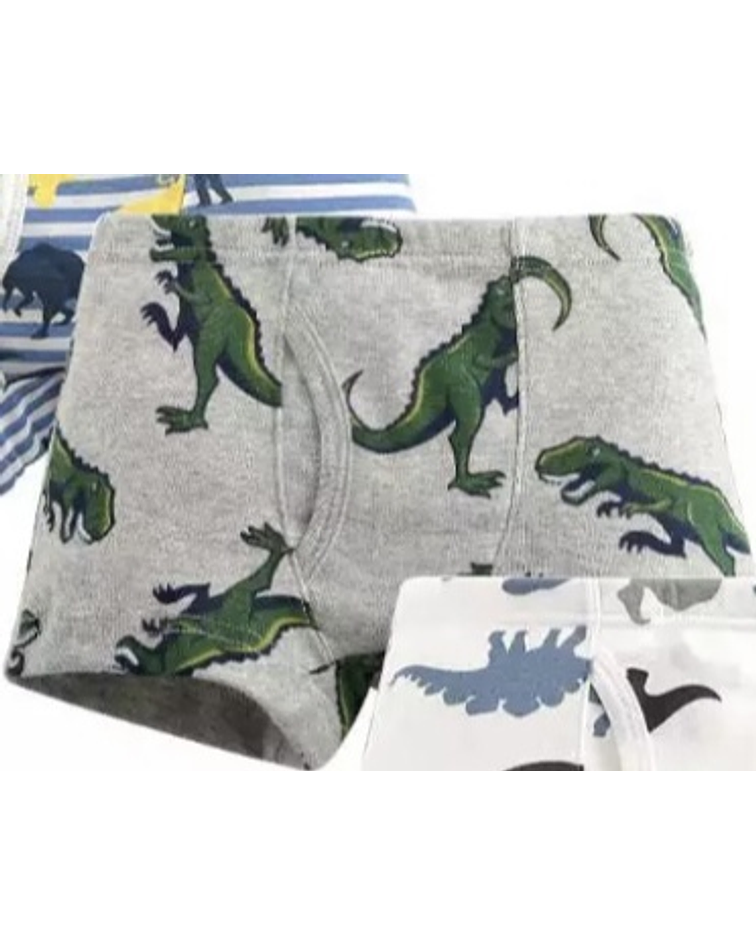 Boxers Dinosaurios