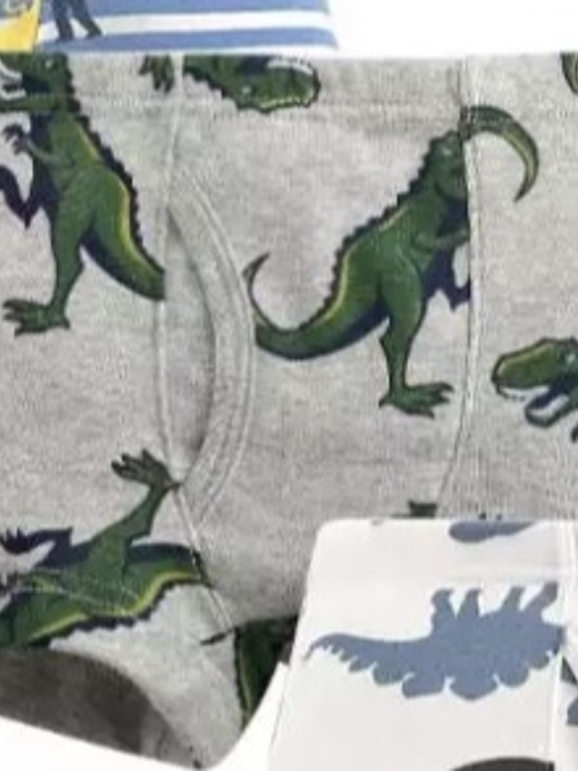 Boxers Dinosaurios 3