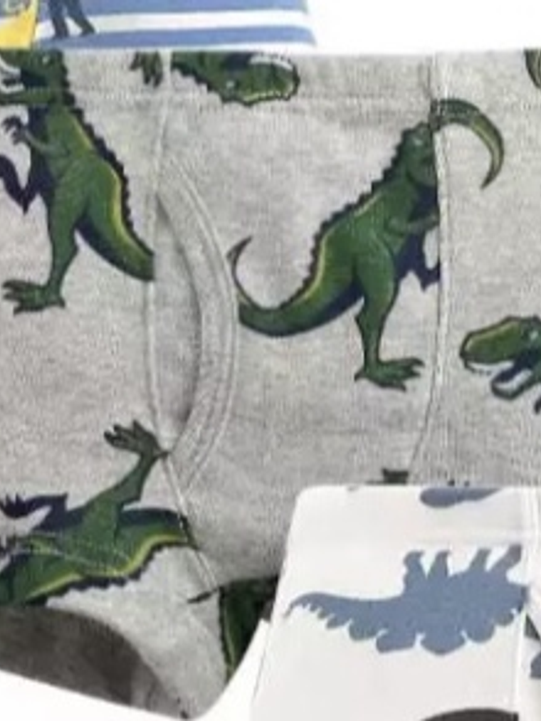 Boxers Dinosaurios 3