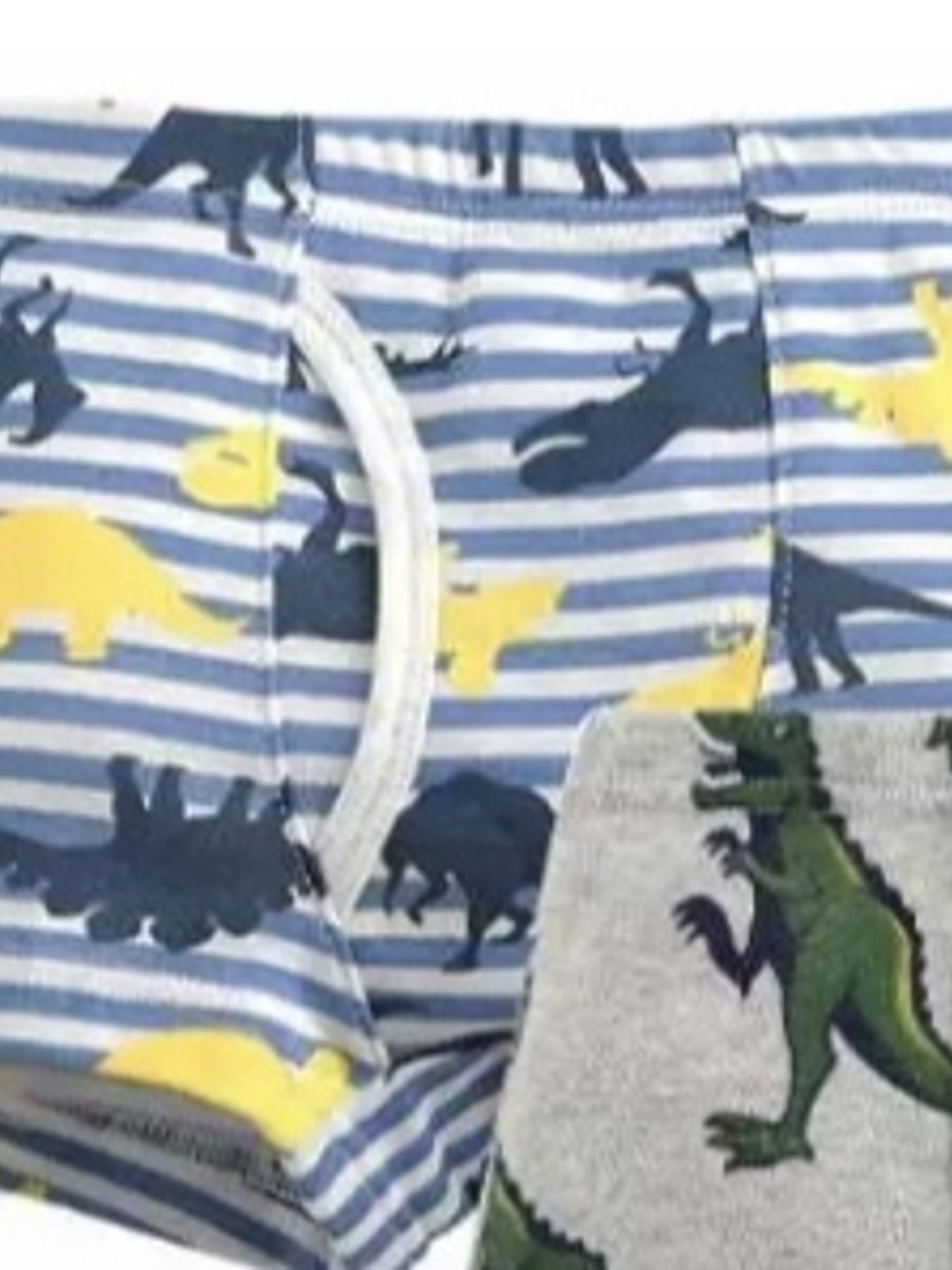Boxers Dinosaurios 4