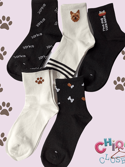 Medias Yorkie 