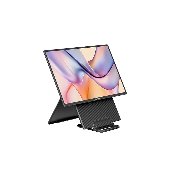 BV Monitor portátil Table 10 | 23.8