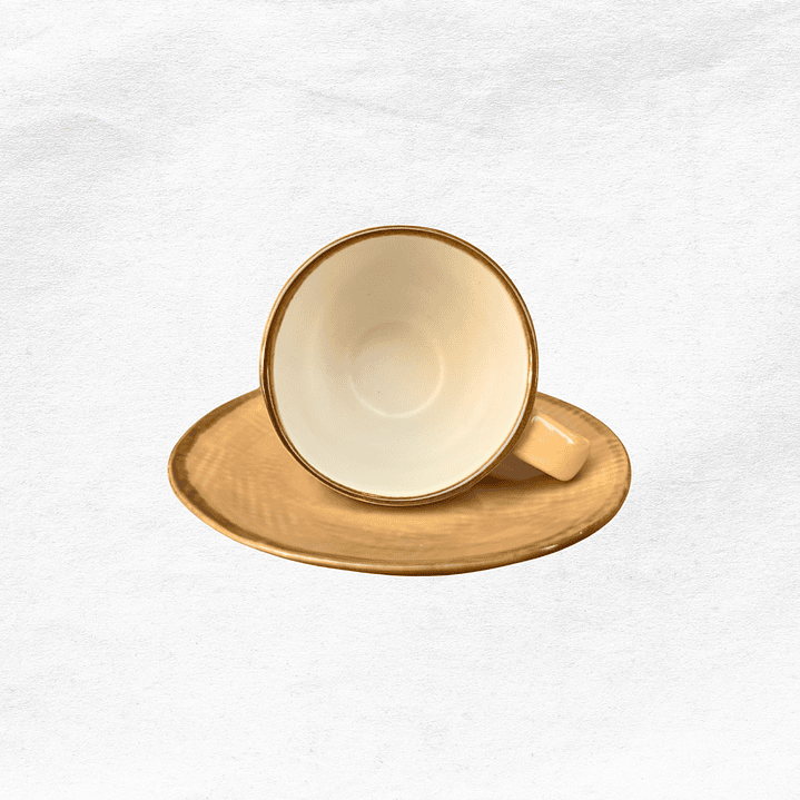 Set Taza/Platillo 0484 3