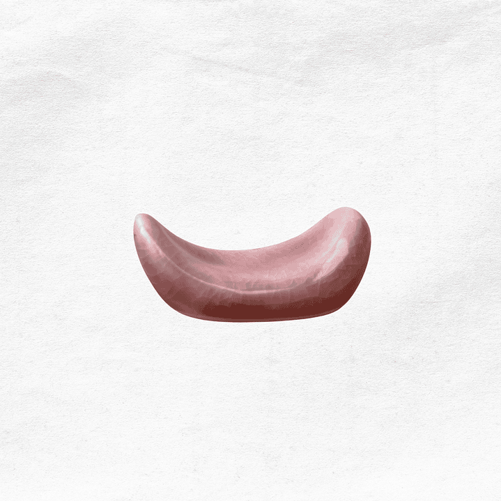 Posa Palillos Rosa (3 unidades) 2