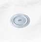 Plato Pan Vidrio C88 - Miniatura 2